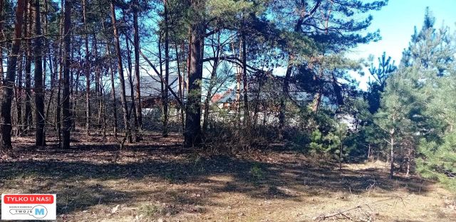 Działka leśna Morawica. Zdjęcie 1