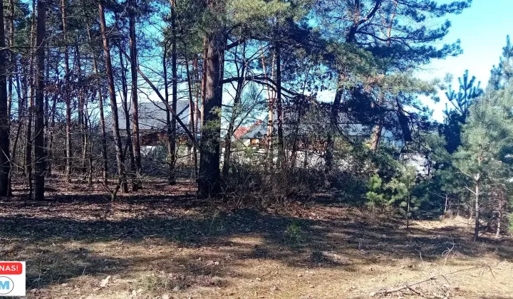 Działka leśna Morawica