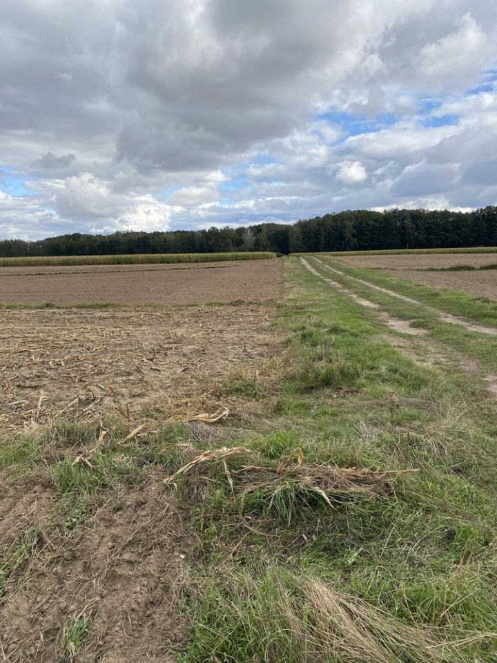 Działka rolna Zembry. Zdjęcie 8