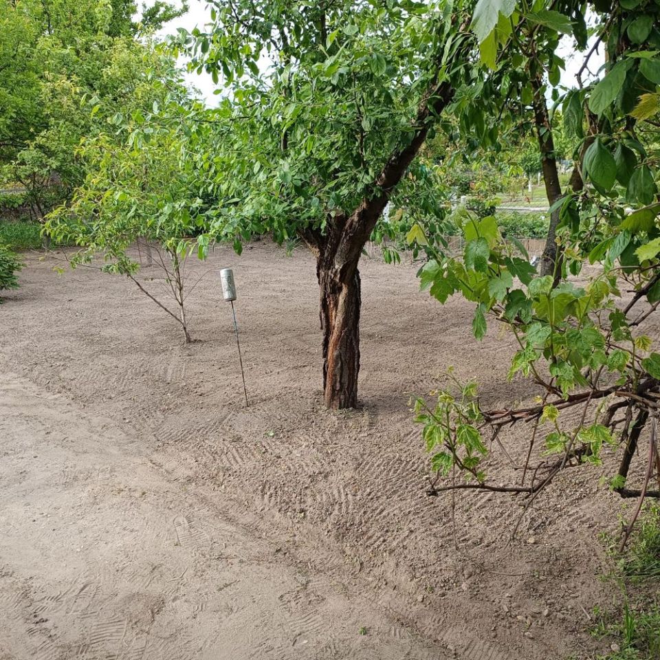 Działka rod Kalisz, ul. Borkowska. Zdjęcie 8