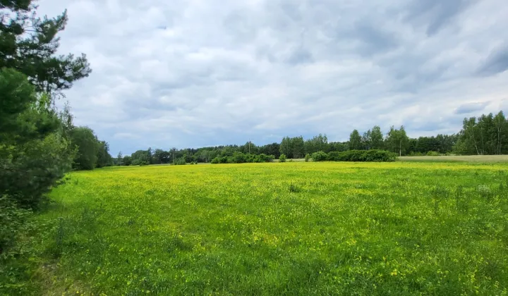 Działka budowlana Grabie