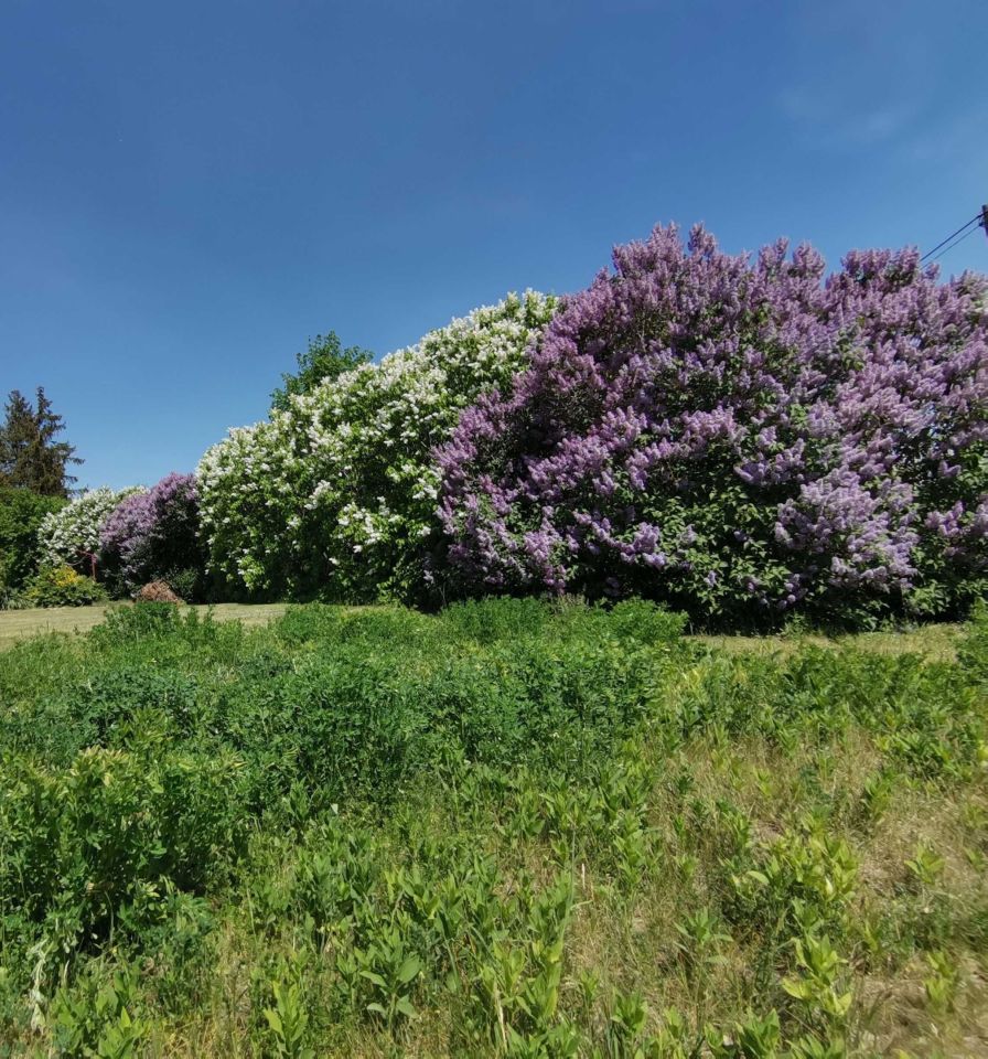 Działka budowlana Mława. Zdjęcie 5