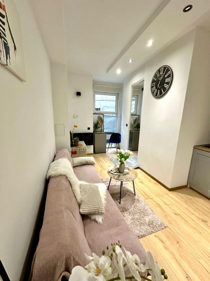 Mieszkanie 1-pokojowe Łódź Śródmieście, ul. Piotrkowska. Zdjęcie 2