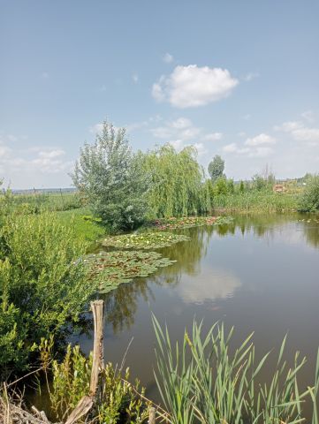 Działka rolna Białki. Zdjęcie 1