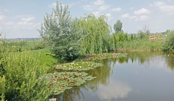 Działka rolna Białki