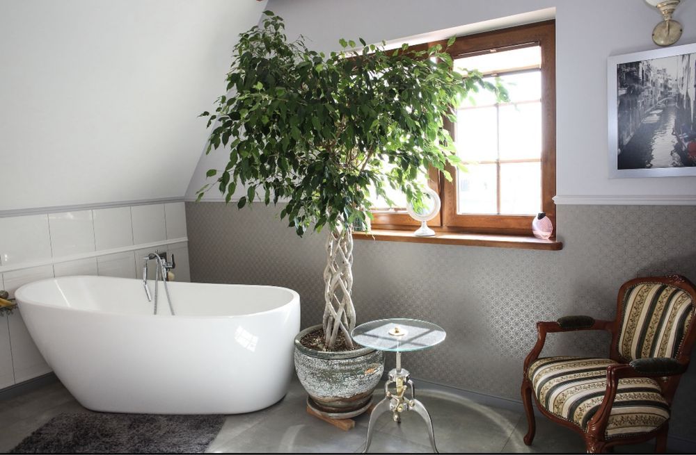 dom wolnostojący Pyszczyn. Zdjęcie 8