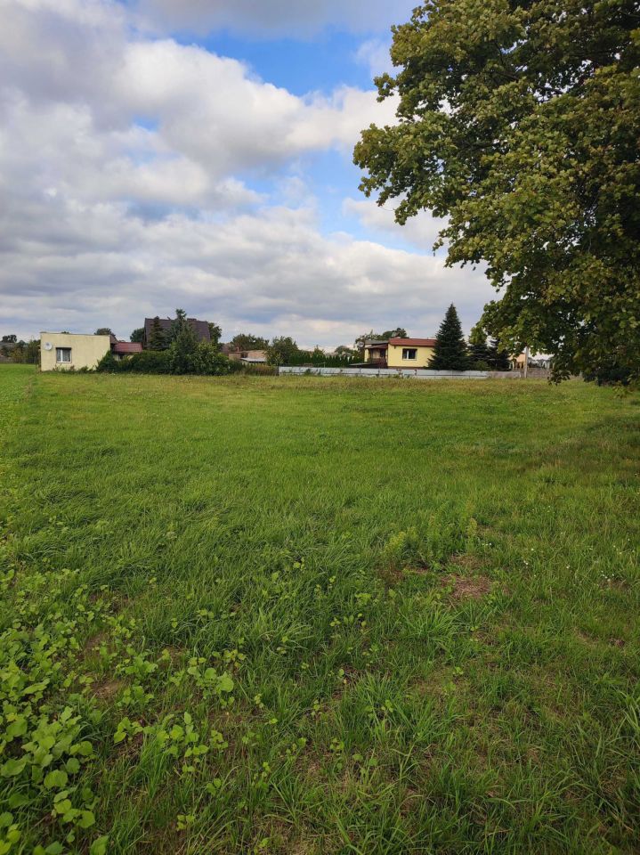 Działka budowlana Czerlejno. Zdjęcie 2