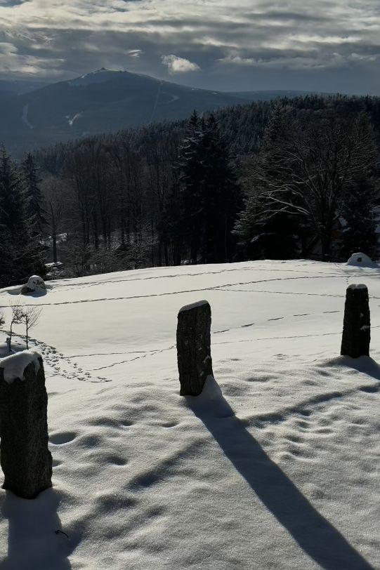 dom wolnostojący, 5 pokoi Szklarska Poręba Szklarska Poręba Górna, ul. Górna. Zdjęcie 18