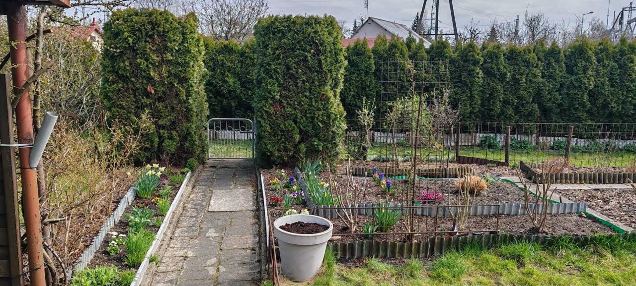 Działka rod Żory, ul. Boczna. Zdjęcie 3