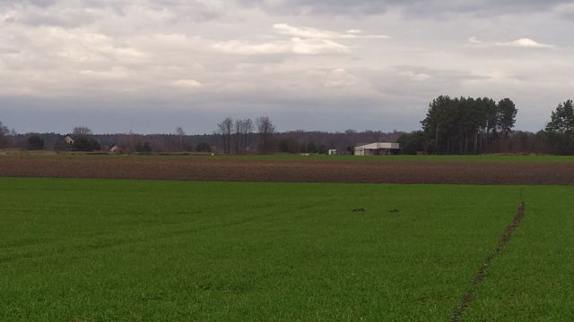 Działka rolno-budowlana Oleśniczka. Zdjęcie 1