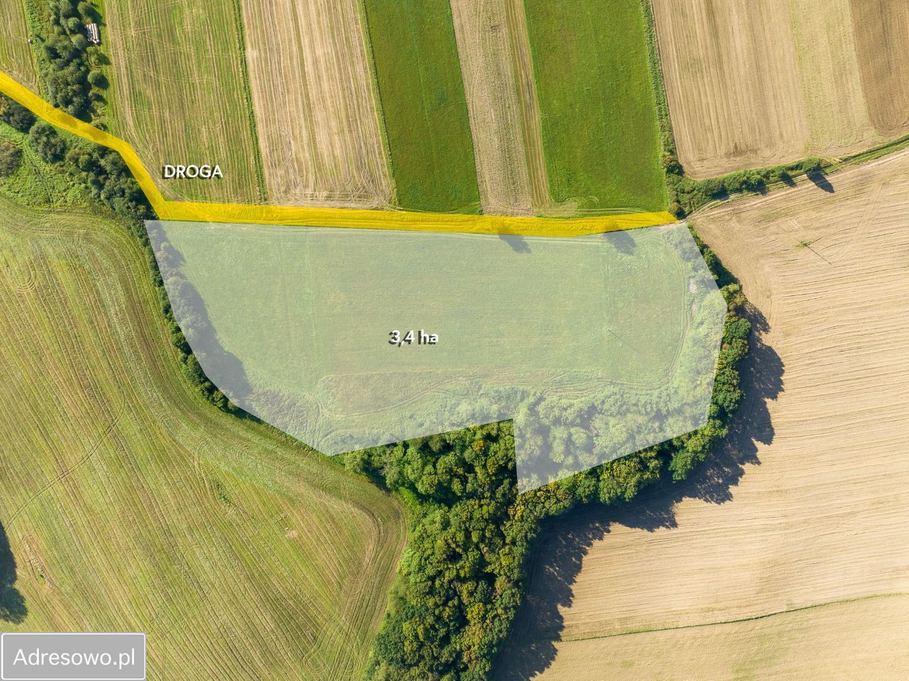 Działka rolna Zakrzewo. Zdjęcie 9