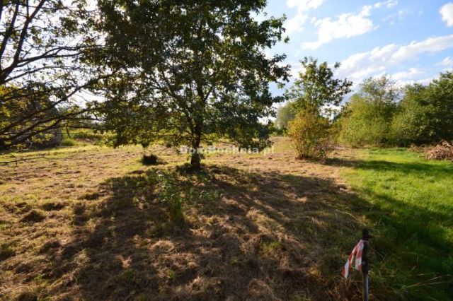 Działka budowlana Bucze. Zdjęcie 3