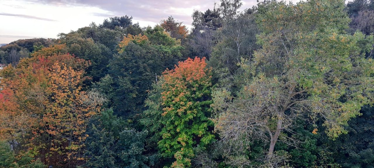 Mieszkanie 3-pokojowe Sopot Kamienny Potok, ul. Henryka Sienkiewicza. Zdjęcie 22