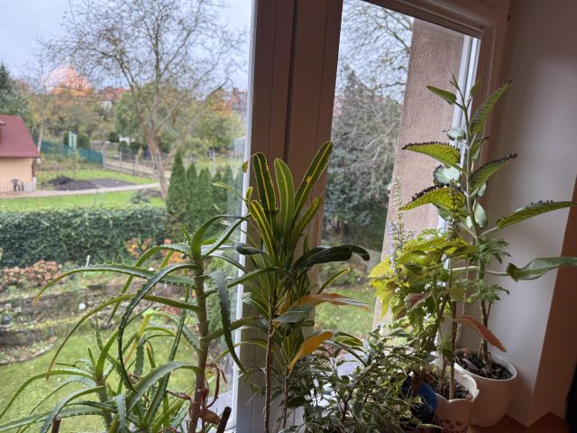 Mieszkanie 3-pokojowe Szczecin Pogodno, ul. ks. Stanisława Kozierowskiego. Zdjęcie 18