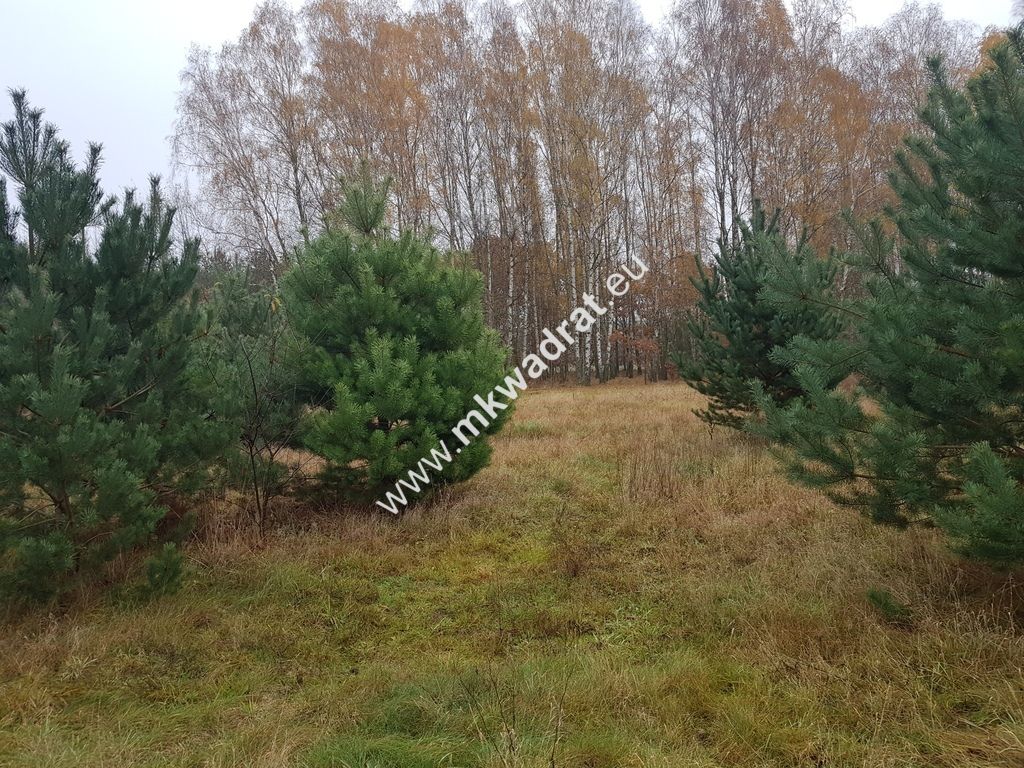 Działka budowlana Ojrzanów. Zdjęcie 2