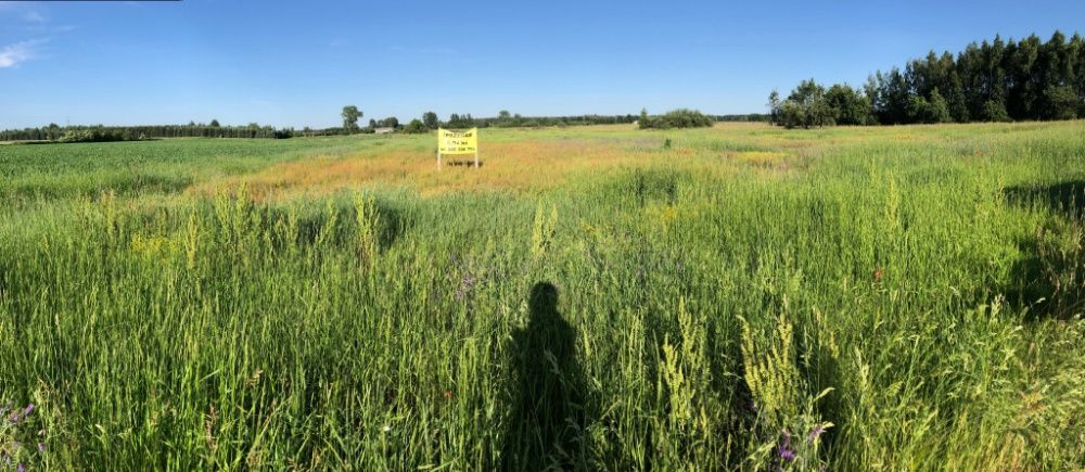 Działka rolno-budowlana Piaski. Zdjęcie 4