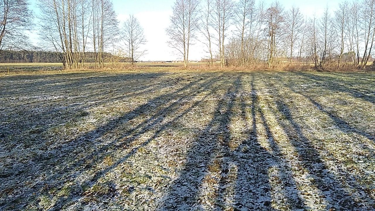 Działka rolna Rzechta Drużbińska