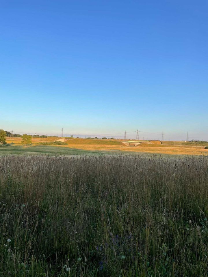 Działka rolna Stare Bielice. Zdjęcie 3