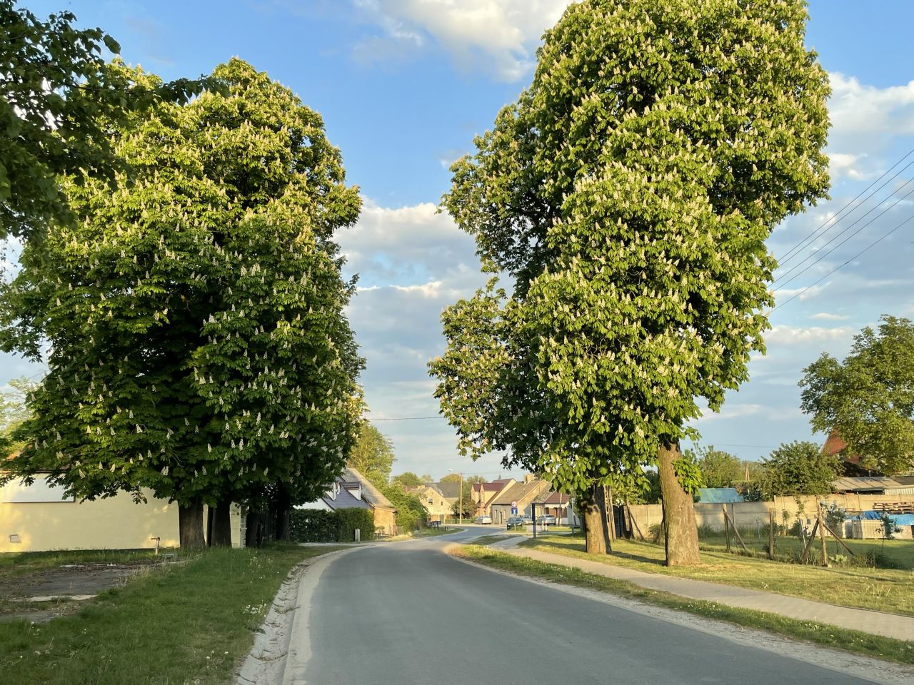 Działka budowlana Bytyń, ul. Szkolna. Zdjęcie 2