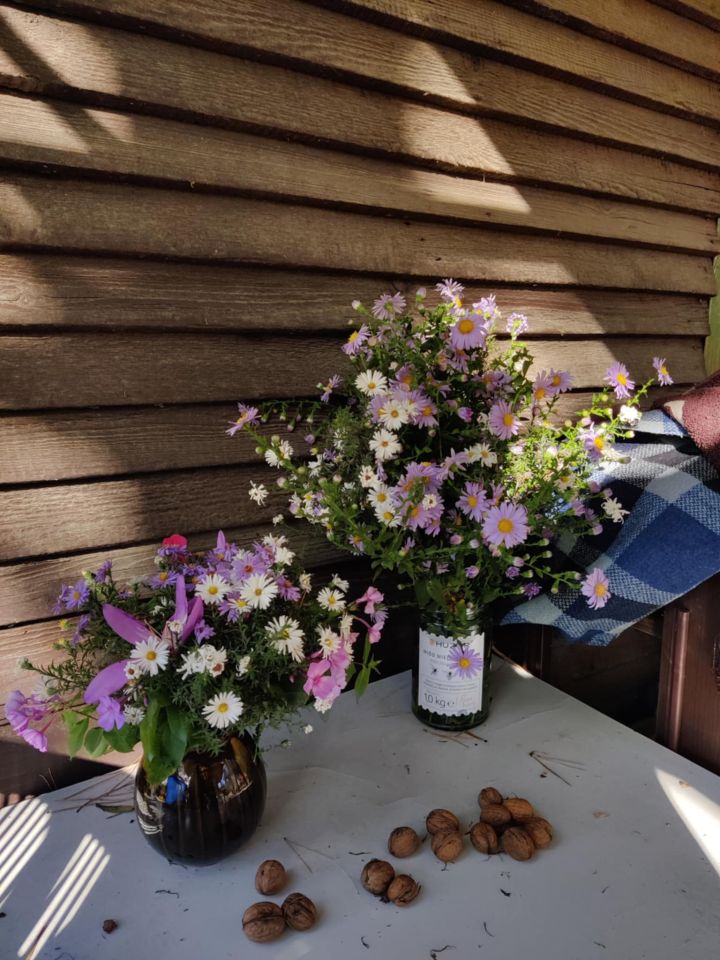 Działka rod Warszawa Włochy, ul. Paluch. Zdjęcie 12