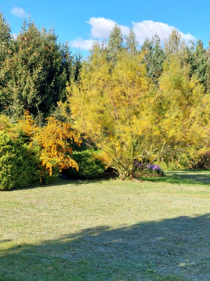 Działka rekreacyjna Łączonek. Zdjęcie 10