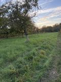 Działka rolno-budowlana Łańcut Grabskie, ul. Władysława Grabskiego. Zdjęcie 3