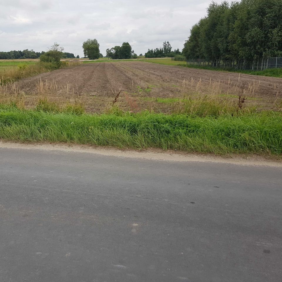 Działka rolno-budowlana Piątki. Zdjęcie 2