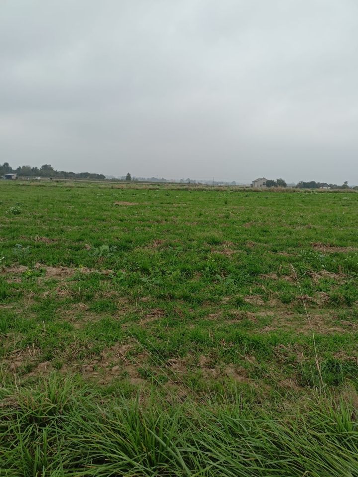 Działka budowlana Baszki. Zdjęcie 8