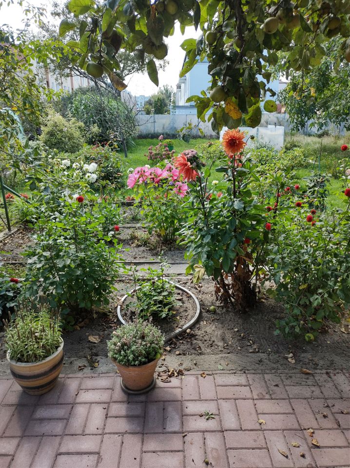 Działka rod Gdynia Obłuże, ul. płk. Stanisława Dąbka. Zdjęcie 3