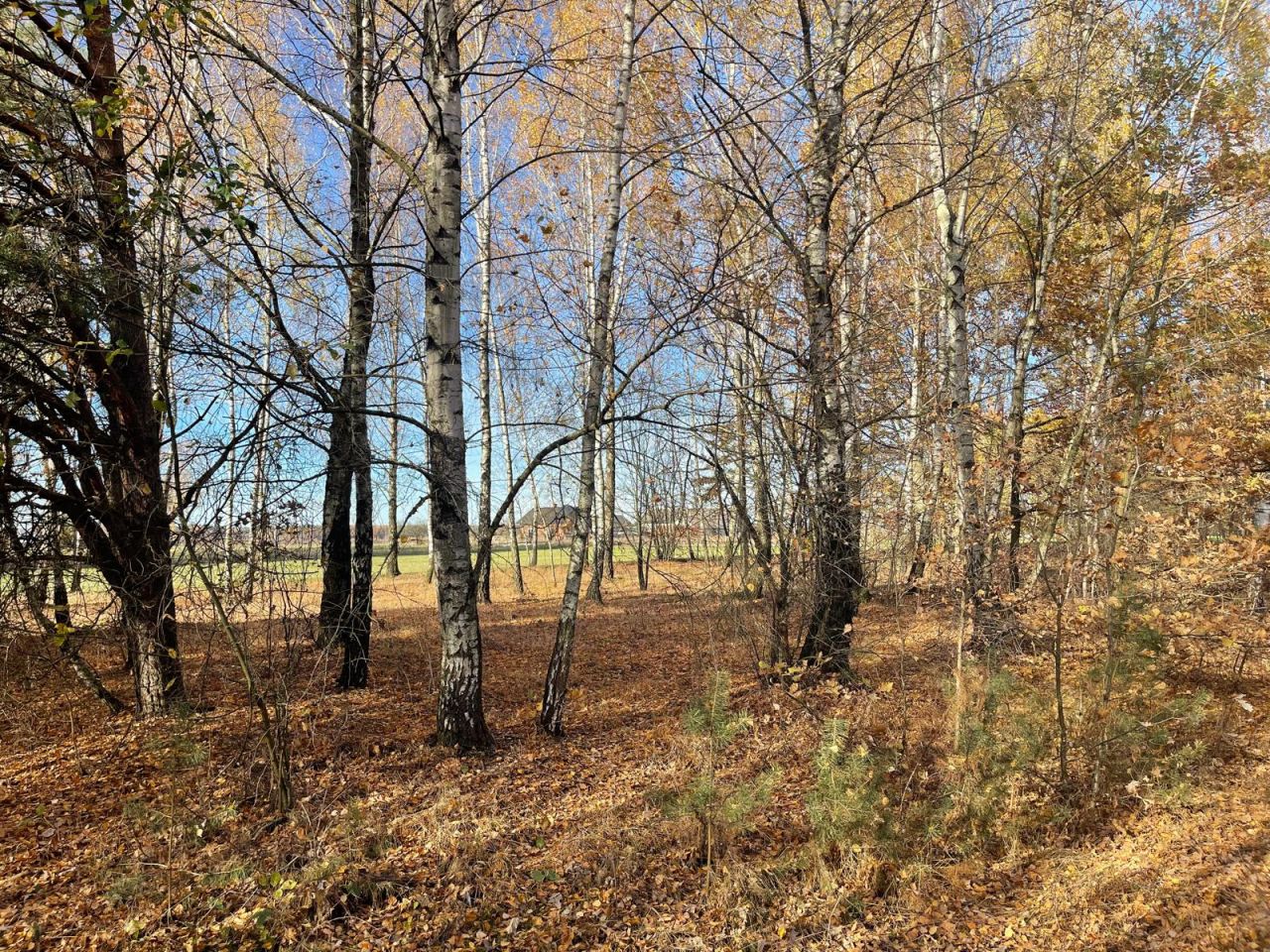 Działka budowlana Iwowe. Zdjęcie 8