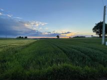 Działka siedliskowa Wierzchowisko Marianów. Zdjęcie 2