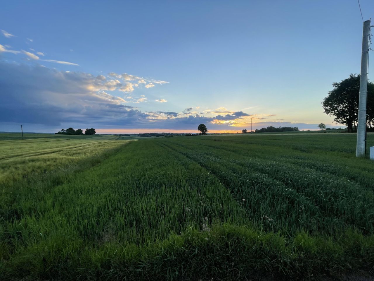 Działka siedliskowa Wierzchowisko Marianów. Zdjęcie 3