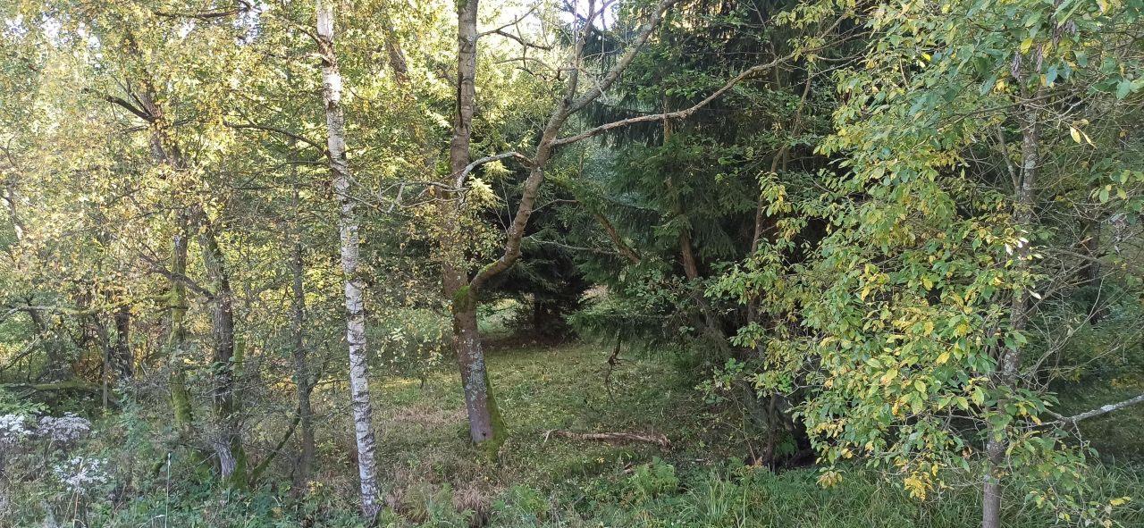 Działka siedliskowa Ludwikowice Kłodzkie Sowina, ul. Kopalniana. Zdjęcie 4