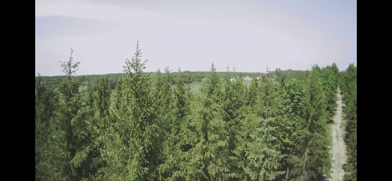 Działka budowlana Studnie. Zdjęcie 10