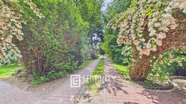 siedlisko Jaszczów. Zdjęcie 15