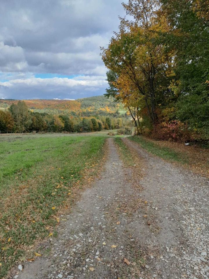 Działka rolna Średnia. Zdjęcie 7