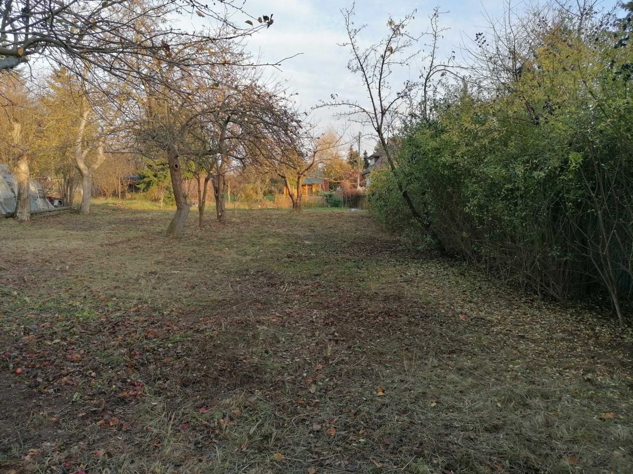 Działka rod Elizówka. Zdjęcie 6