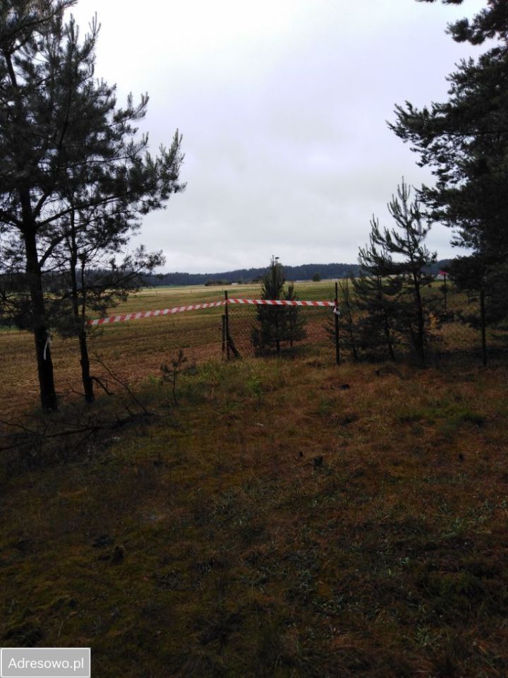 Działka rolna Siwiki. Zdjęcie 3