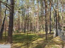 Działka leśna Wilga