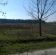 Działka inwestycyjna Sławczyn. Zdjęcie 7