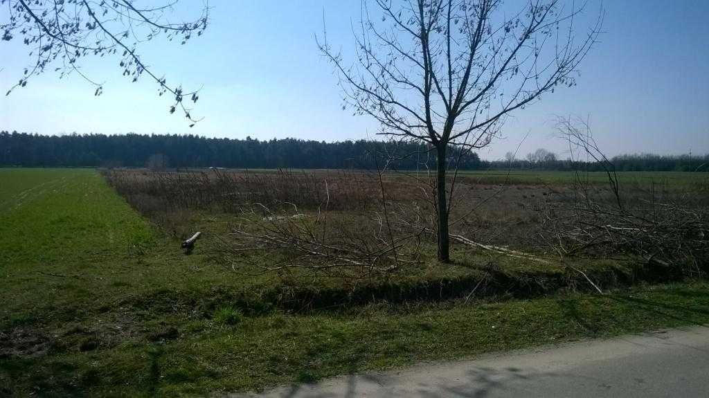 Działka inwestycyjna Sławczyn. Zdjęcie 7