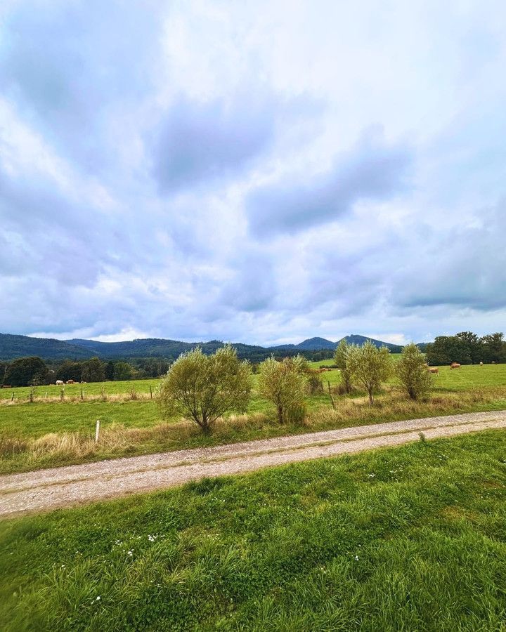 Działka budowlana Janowice Wielkie. Zdjęcie 11