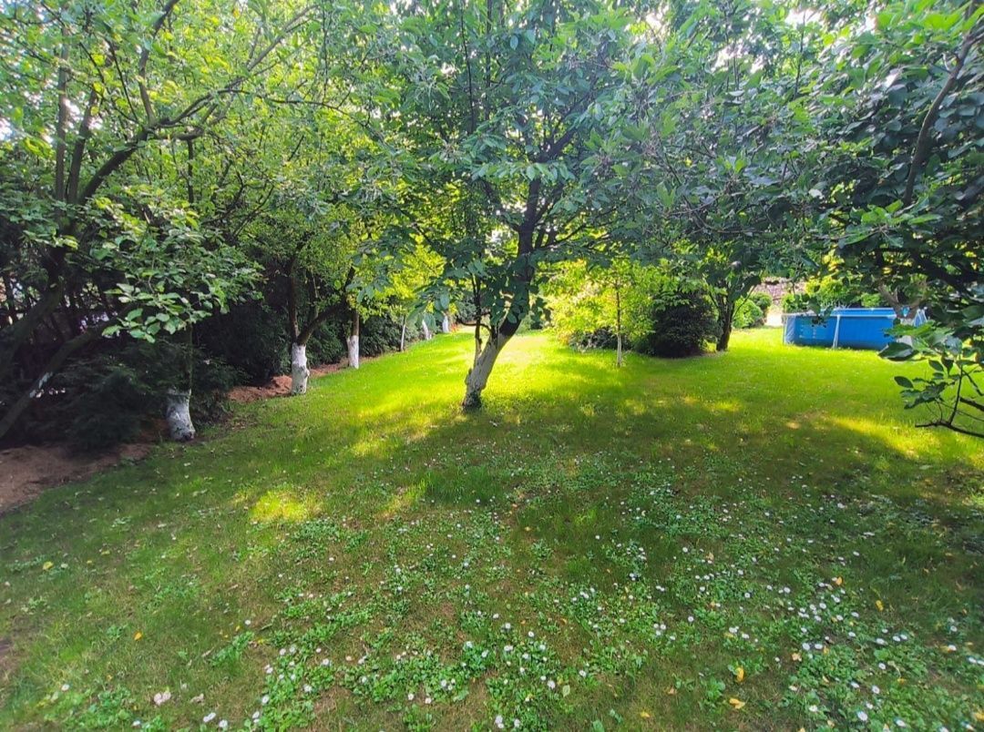 dom wolnostojący Otmuchów, ul. Matejki. Zdjęcie 2