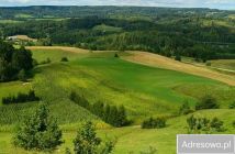 Działka rolno-budowlana Kiersztanowo. Zdjęcie 4