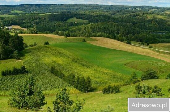 Działka rolno-budowlana Kiersztanowo. Zdjęcie 5
