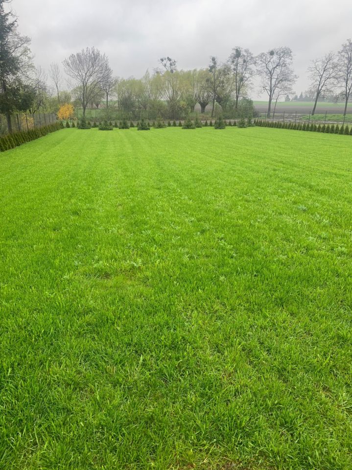 Działka budowlana Winna. Zdjęcie 2