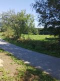 Działka rolna Olszowa. Zdjęcie 3