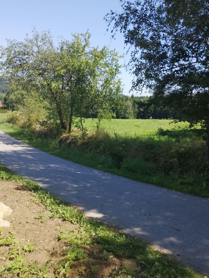 Działka inna Olszowa. Zdjęcie 4