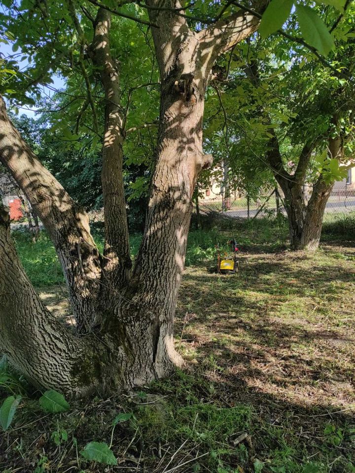 Działka siedliskowa Popowice. Zdjęcie 24