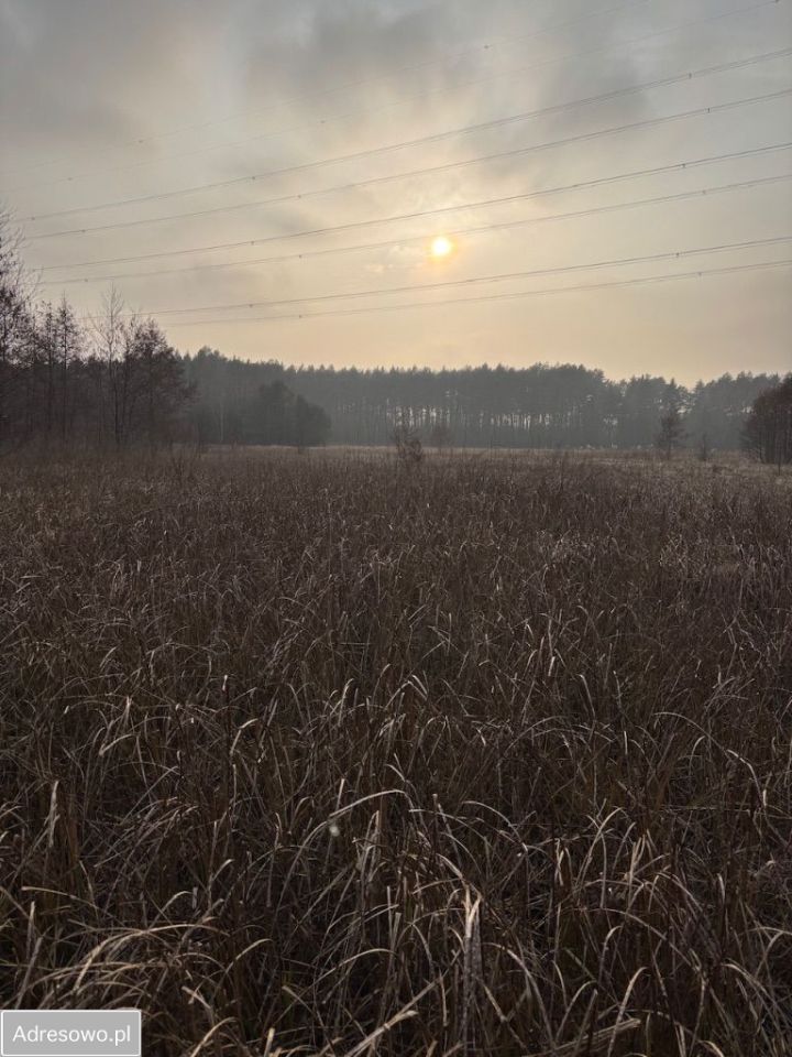 Działka rekreacyjna Bąblin. Zdjęcie 5